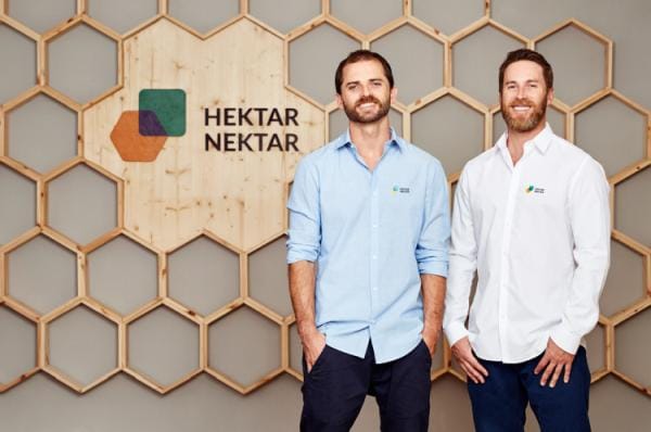 Mit hektarnektar.com dem Insektensterben entgegenwirken