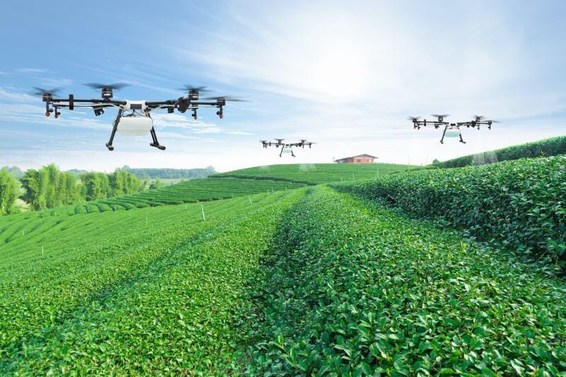 Drohnen über den Feldern – digitale Technologien in der Agrarwirtschaft
