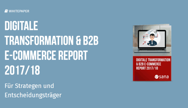 Die E-Commerce Revolution – in zwei Jahren die Einkaufswelt verändern
