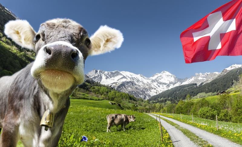 Die Schweiz investiert 373,1 Millionen Franken in die Digitalisierung