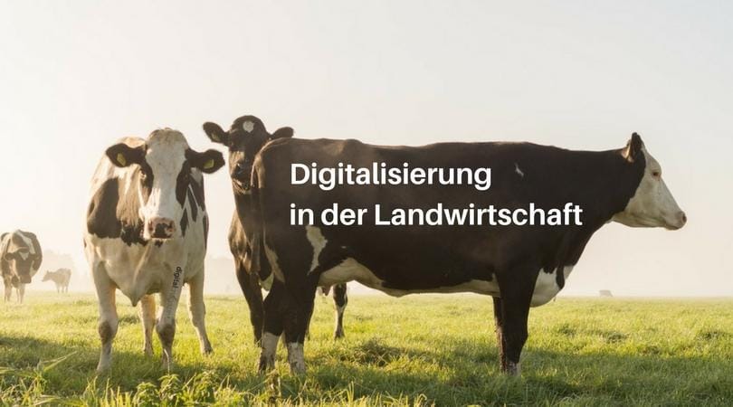 Smart Farm – Landwirtschaft ist Vorreiter in Sachen Digitalisierung