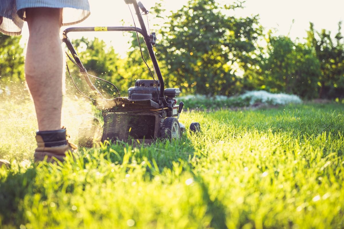 Mit Garten- und Hausarbeit den Zusammenhalt im Unternehmen stärken