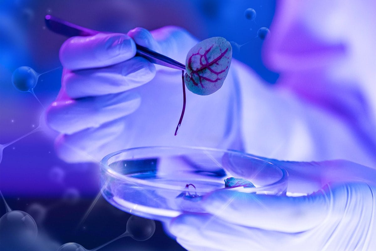 Nanotechnologie – Die Welt der Atome und Moleküle gestalten: Potenzial für die Zukunft