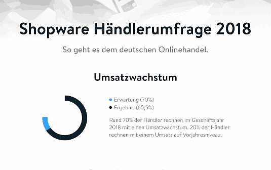 Shopware Umfrage – Erfolge und Herausforderungen deutscher Onlinehändler