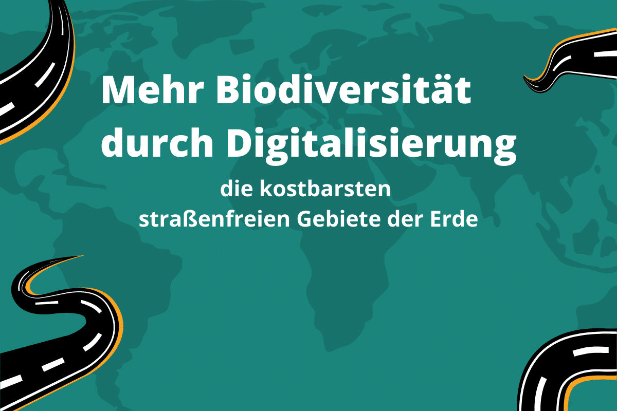 Dank Digitalisierung und Forschung: Dies sind die kostbarsten straßenfreien Gebiete der Erde