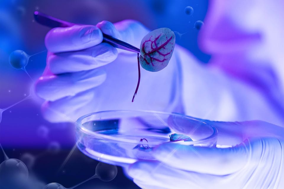 Nanotechnologie – Die Welt der Atome und Moleküle gestalten: Potenzial für die Zukunft