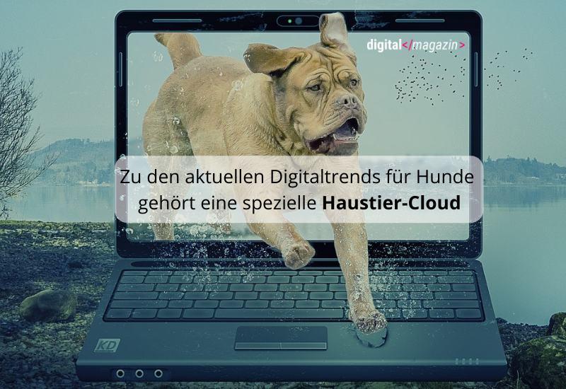 Haustier digital – Digitalisierung für den Hund