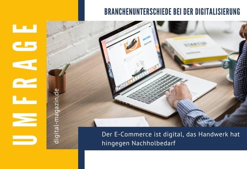 - Branchenspezifische Unterschiede bei der Digitalisierung