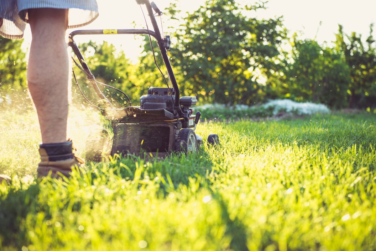 - Mit Garten- und Hausarbeit den Zusammenhalt im Unternehmen stärken